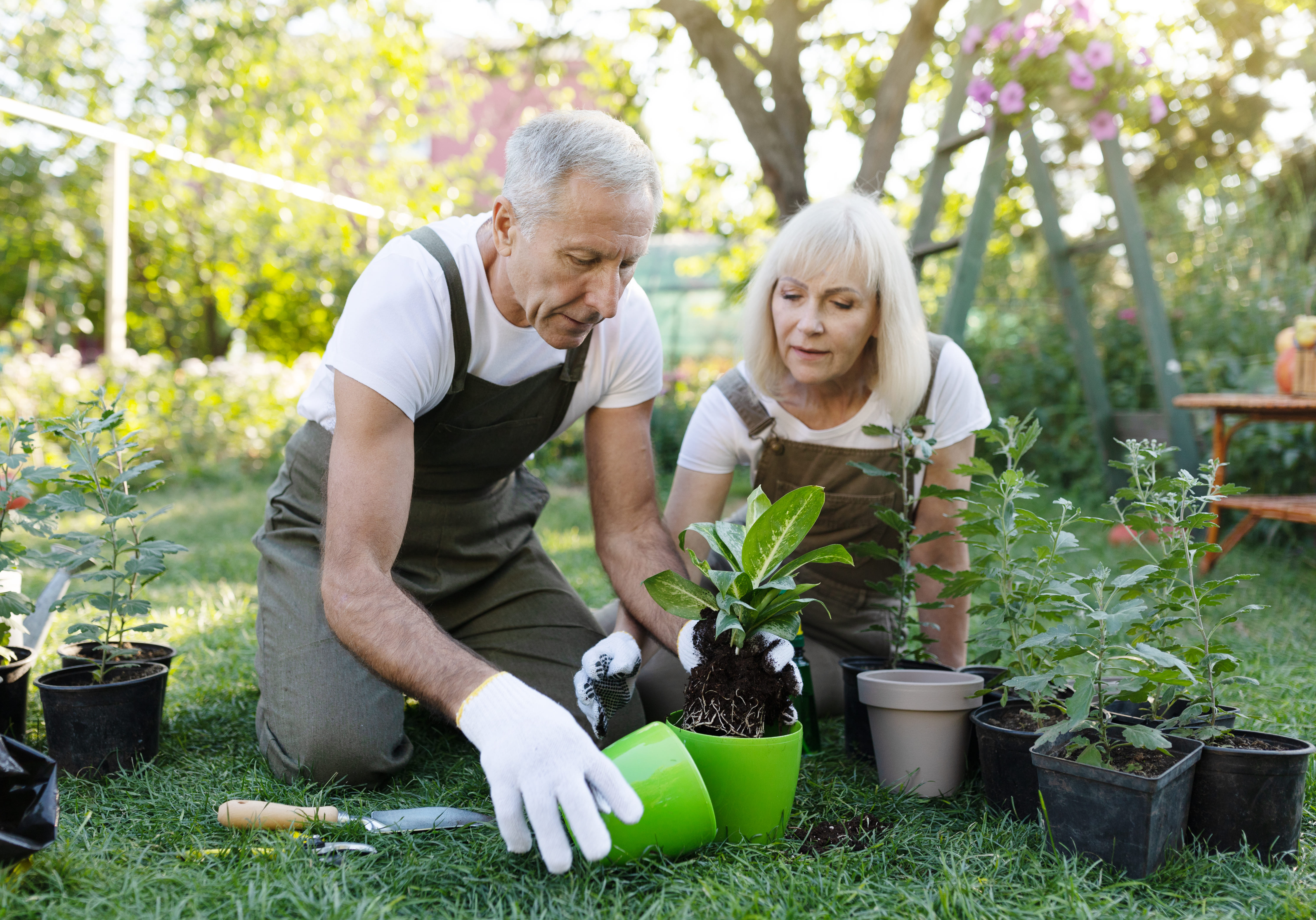 Person gardening